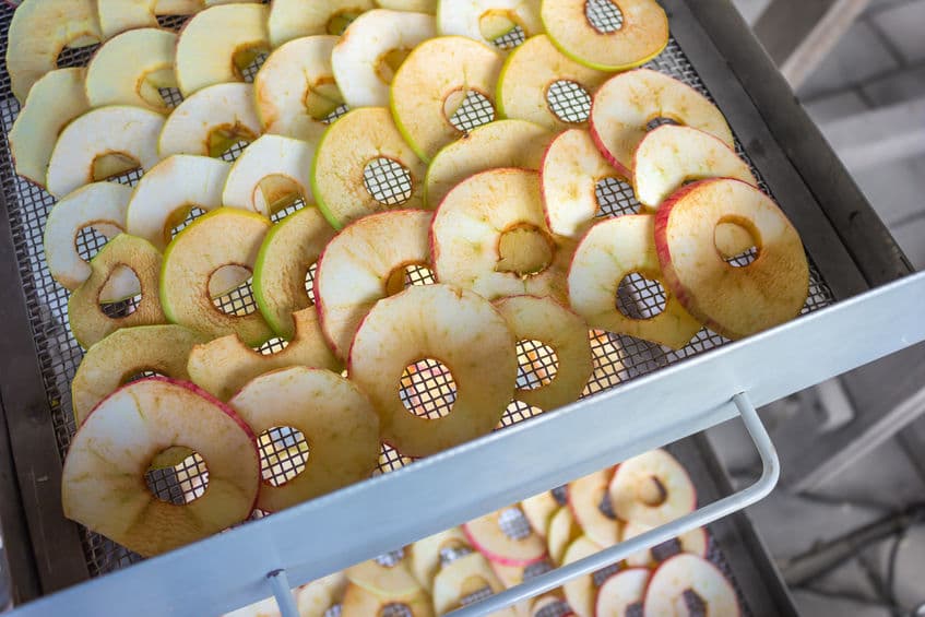 Herencia Costa Bastante Cómo funciona un horno deshidratador de frutas y cómo elegirlo?